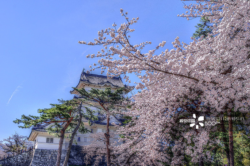 小田原城图片素材