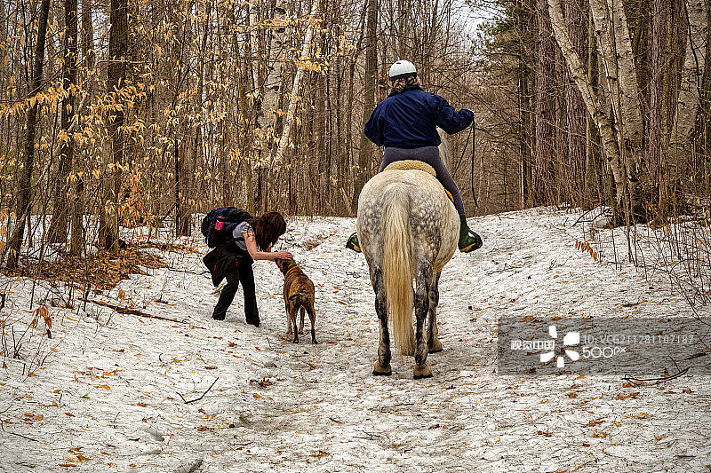 埃尔德雷德金林地图片素材