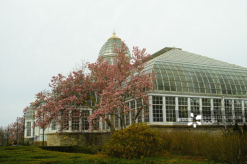 植物园图片素材