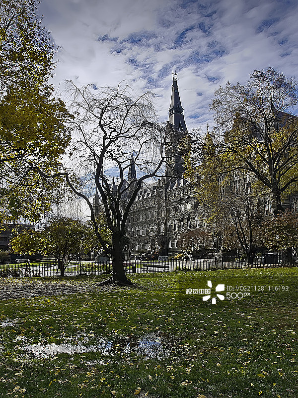 华盛顿大学图片素材