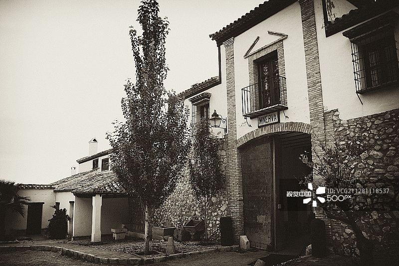 密涅瓦图片素材