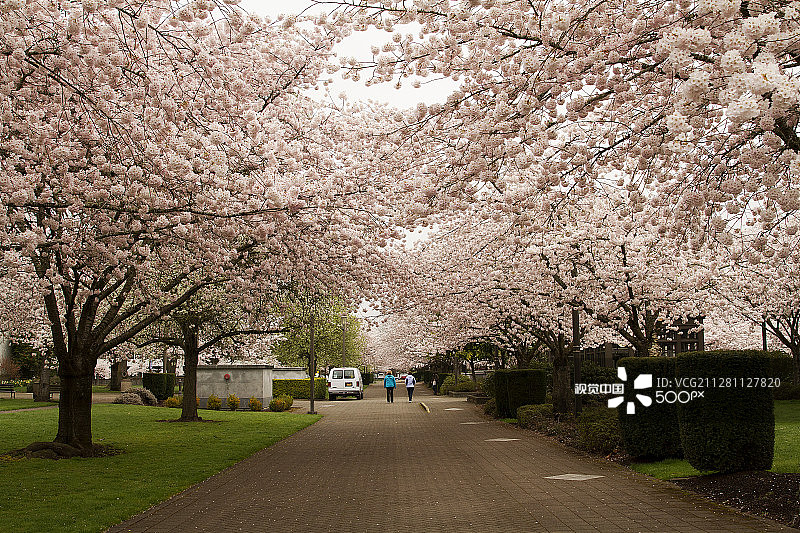 俄勒冈州塞勒姆州议会大厦公园图片素材