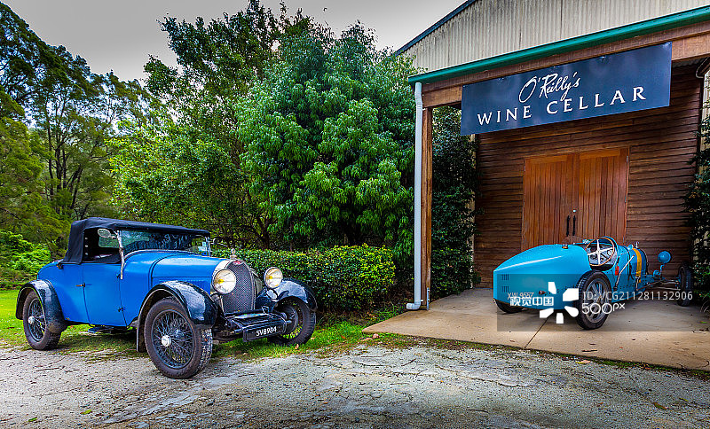 葡萄园里的布加迪图片素材