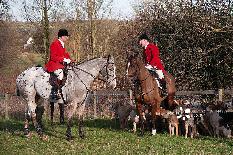 萨福克狩猎#2图片素材