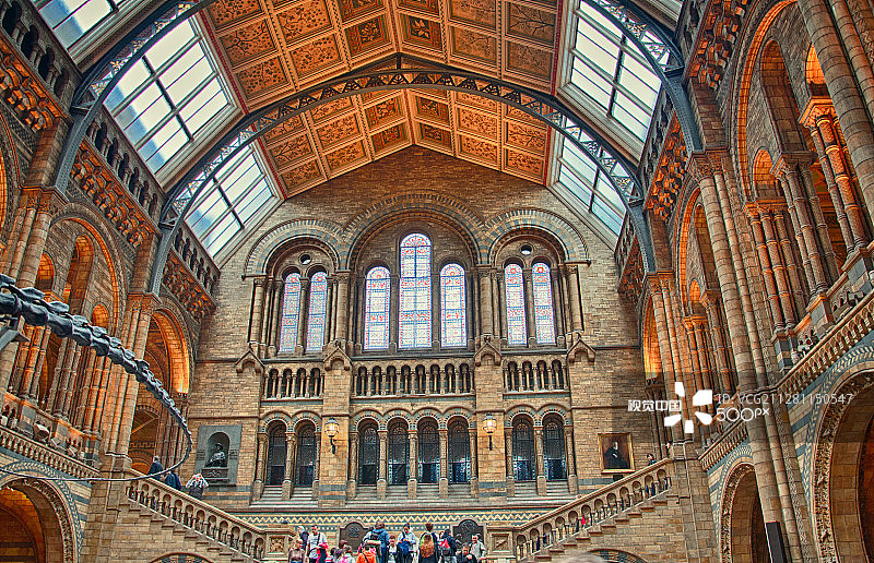 自然历史博物馆图片素材