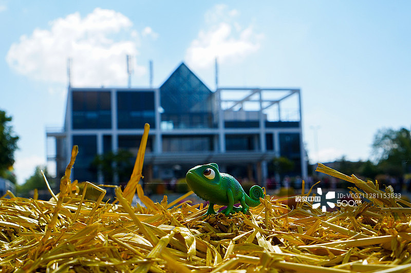 花卉展览公园图片素材