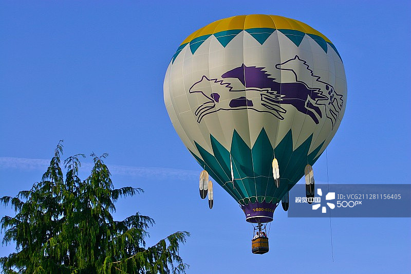 龟兔赛跑图片素材