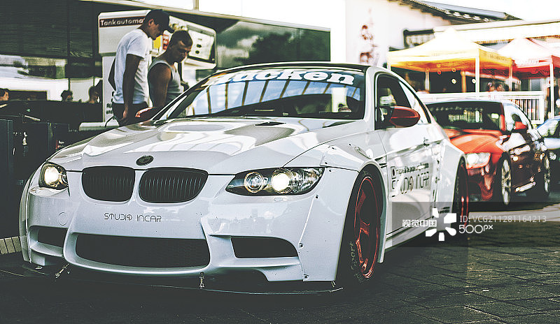 白色野兽图片素材