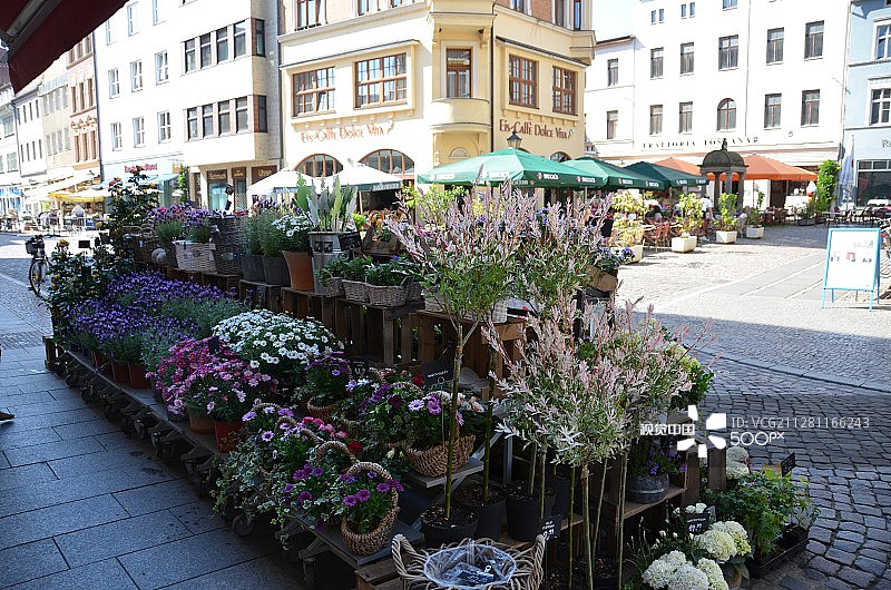 德国维滕贝格集市鲜花图片素材
