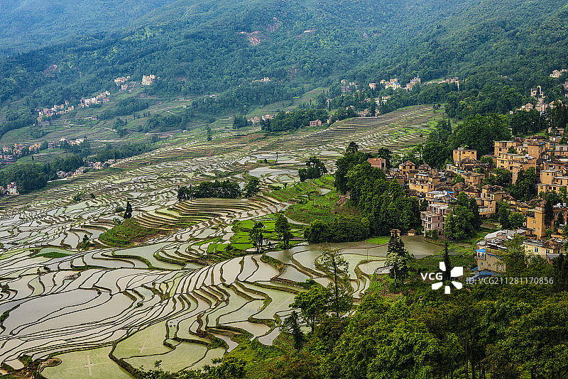 哈尼梯田图片素材
