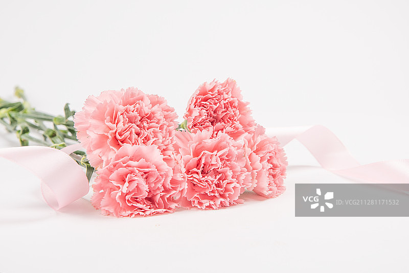 康乃馨母亲节图片素材