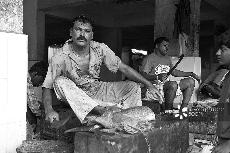 鱼市场图片素材