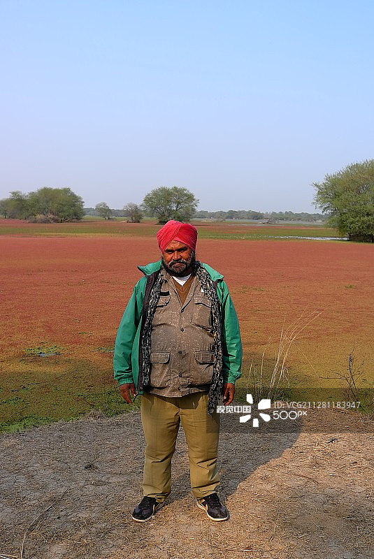 可靠的黄包车夫图片素材