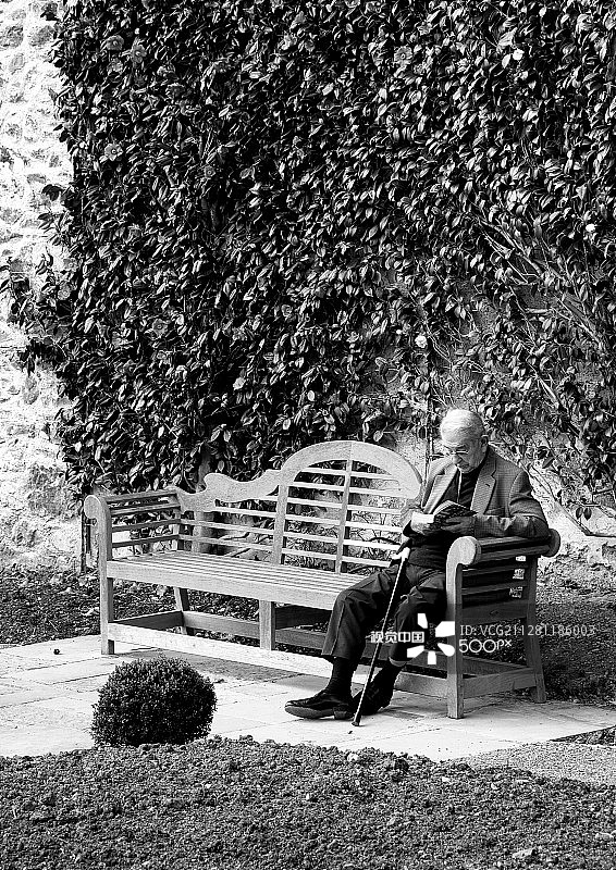 朗读者图片素材