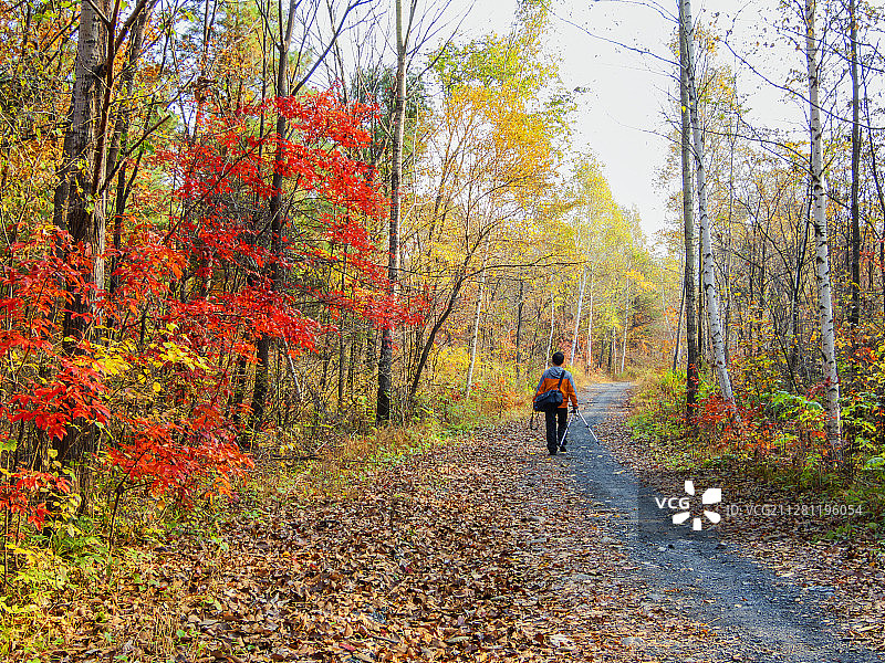 金龙山秋色图片素材