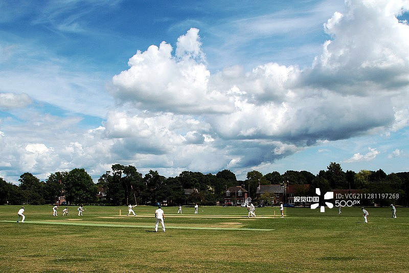 绿色草地上的蟋蟀图片素材