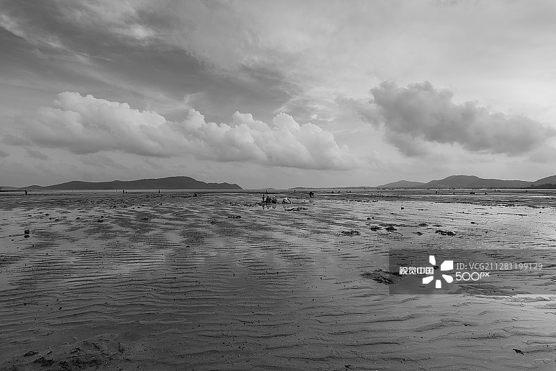 寻找退潮时的贝类图片素材