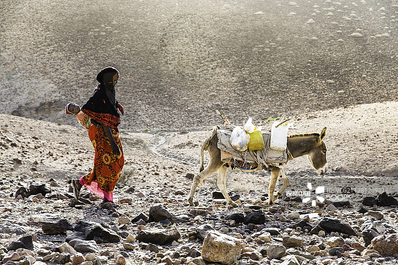 吉布提沙漠中的妇女、儿童和驴图片素材