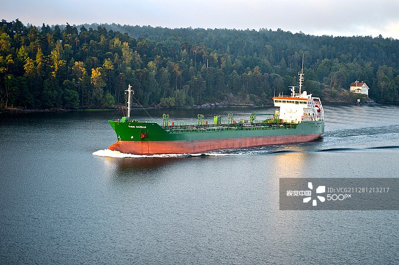 图恩瞪羚图片素材