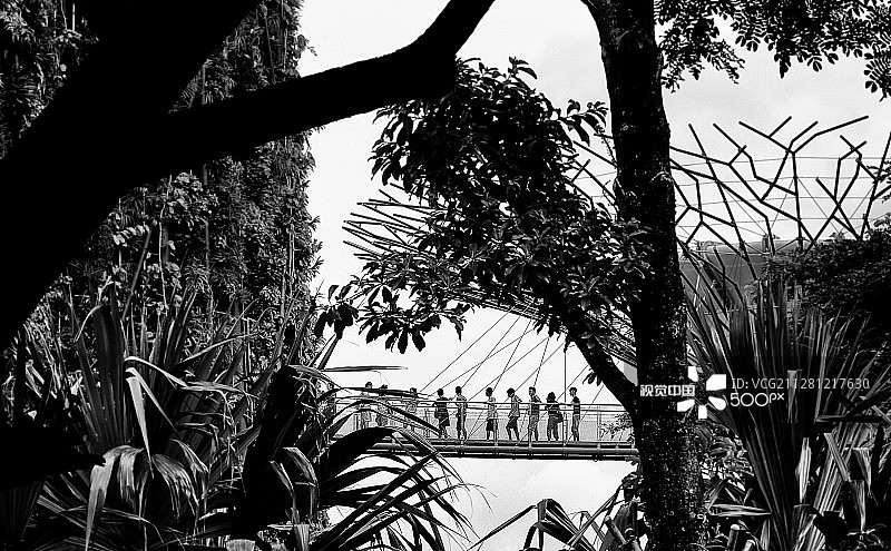 新加坡滨海湾花园空中走廊图片素材