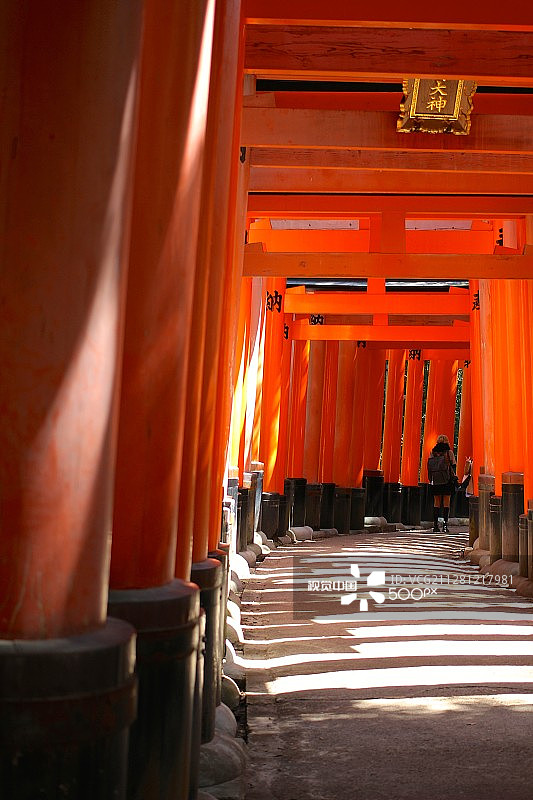 千本鸟居图片素材
