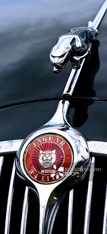 美洲豹引擎盖装饰图片素材