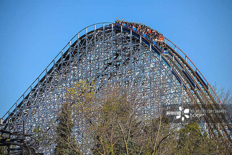 美洲鹰图片素材