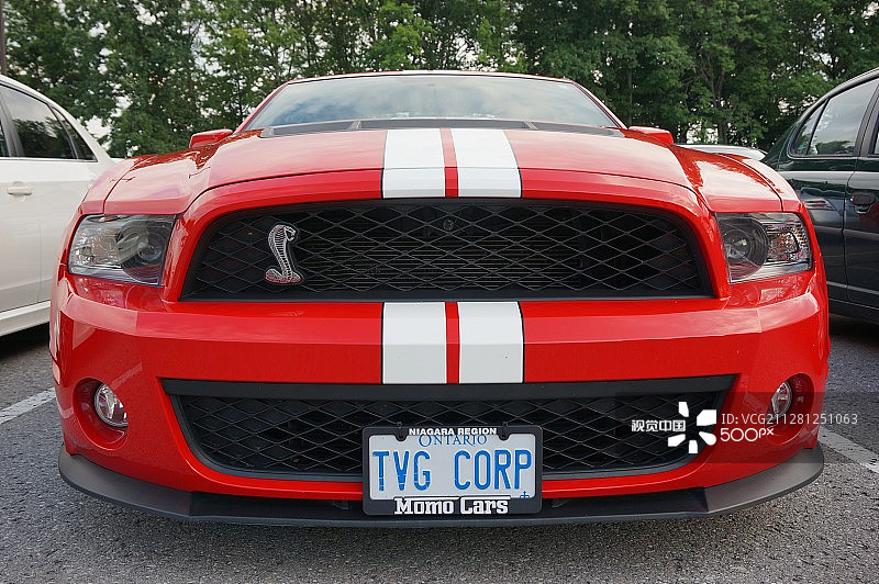 谢尔比眼镜蛇跑车图片素材