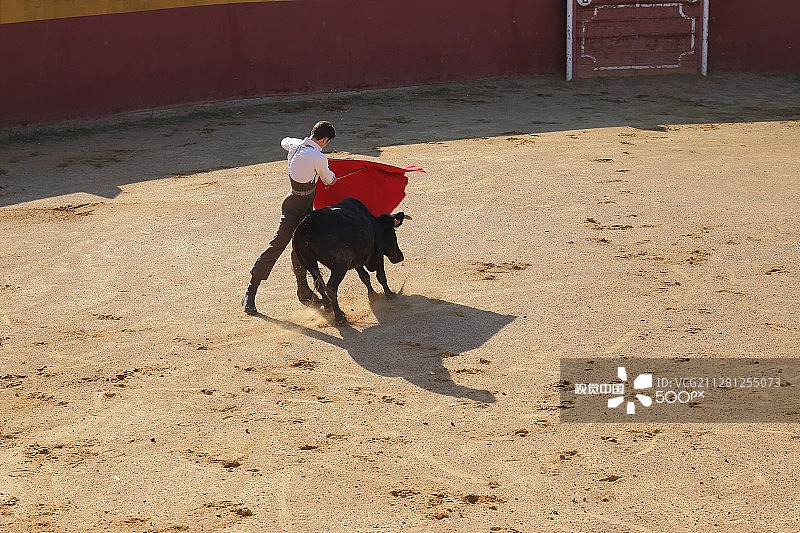 斗牛表演图片素材