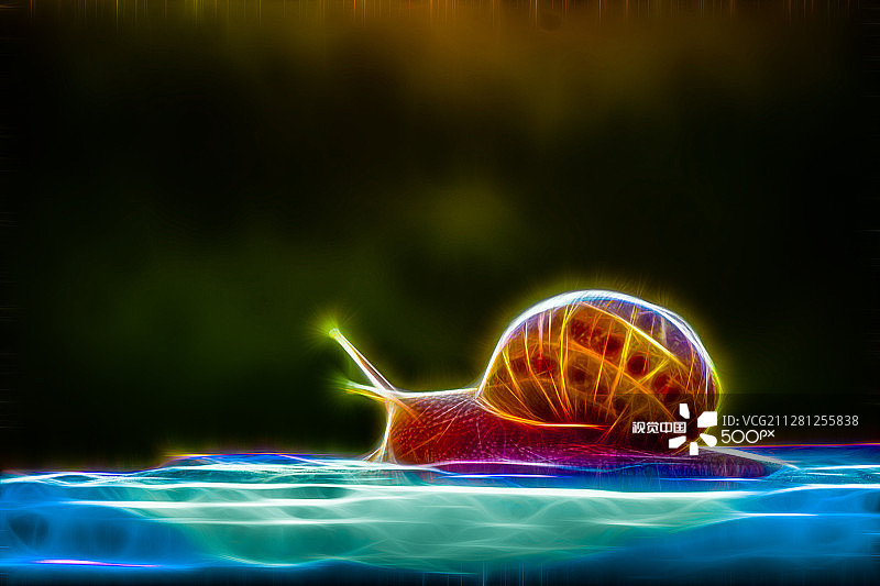 电子蜗牛图片素材