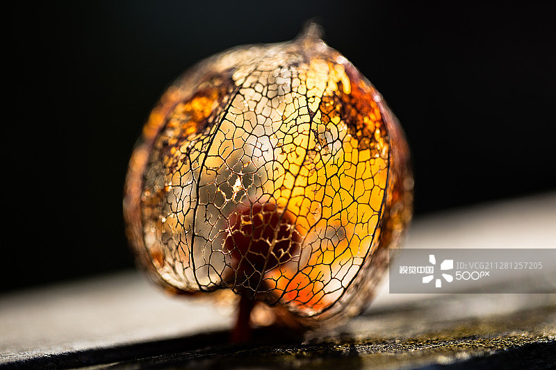 灯笼系列3图片素材