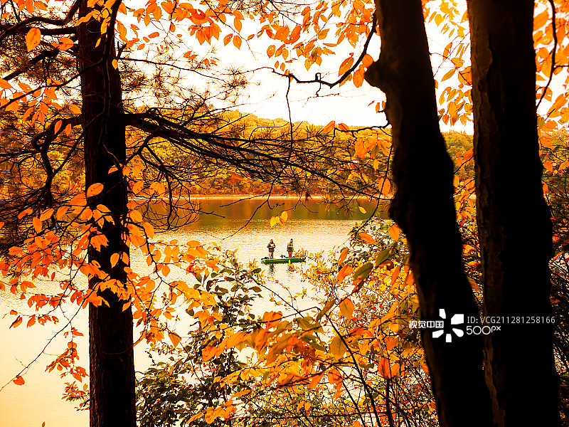 在池塘里钓鱼图片素材