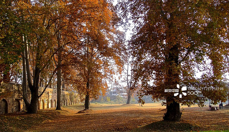 克什米尔花园图片素材