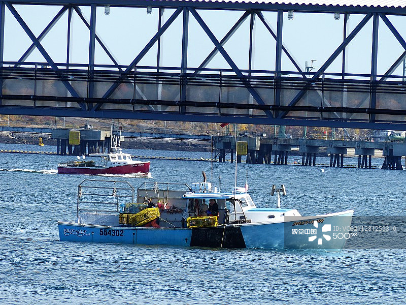 倾倒的龙虾图片素材