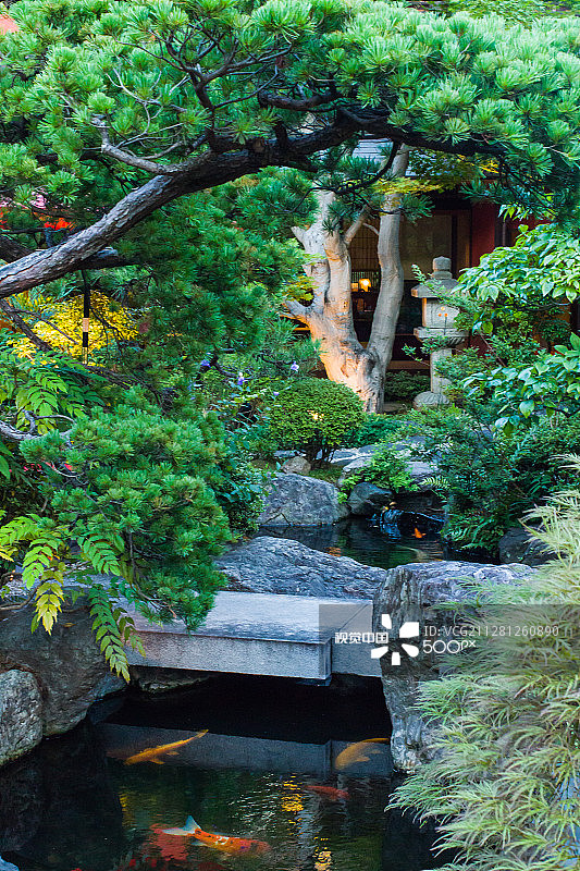 芝豆腐屋卯花的日式庭院图片素材