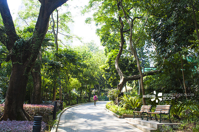 香港动植物公园图片素材