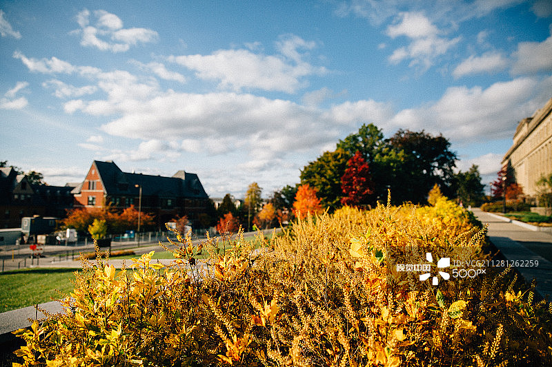 康奈尔大学校园图片素材