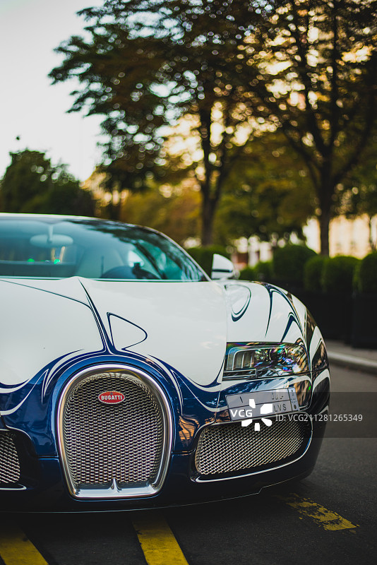 布加迪威龙GrandSport L'Or Blanc图片素材