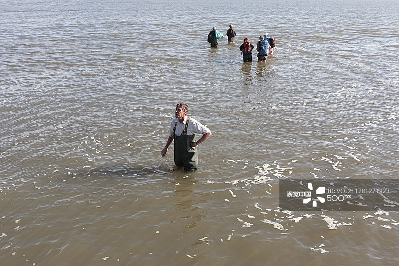 荷兰瓦登岛格里end自然纪念碑之旅图片素材