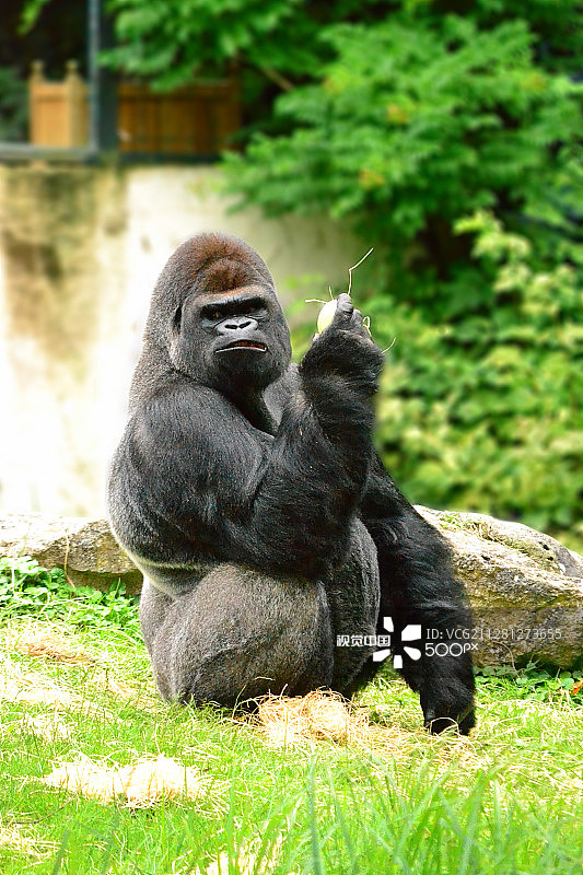 请勿打扰图片素材