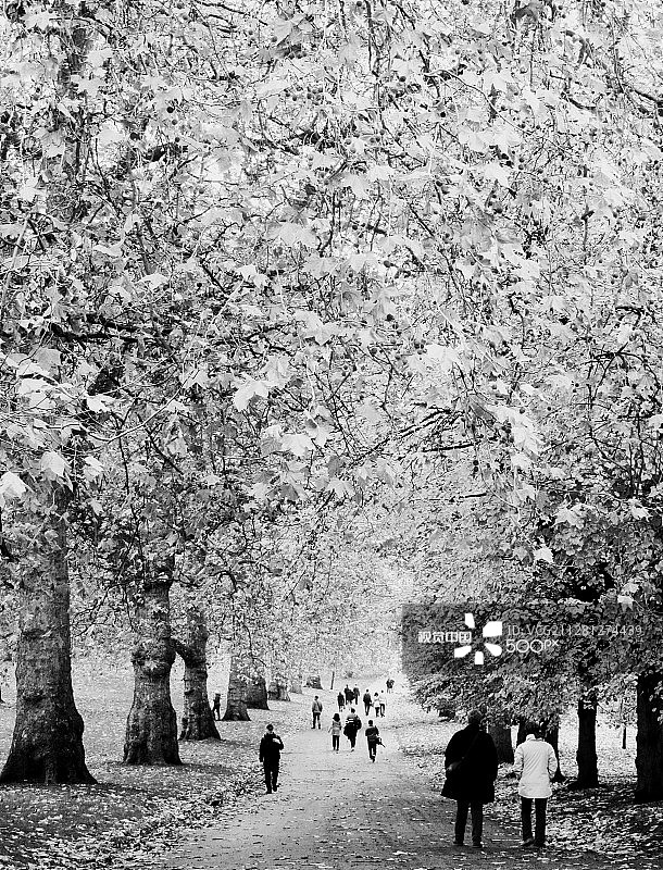 格林公园图片素材