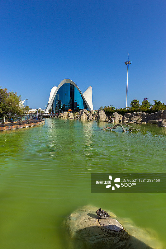 瓦伦西亚水族馆图片素材