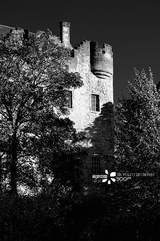 阿洛阿塔图片素材