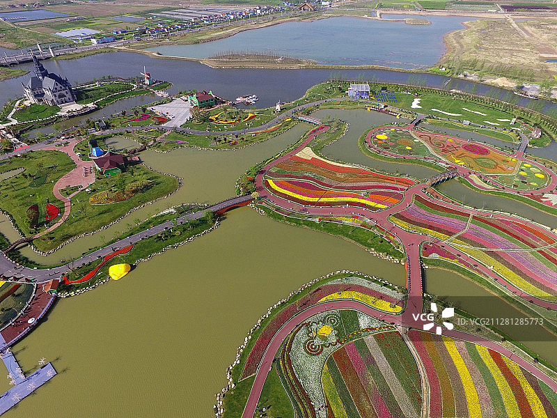 江苏大丰荷兰花海航拍图图片素材