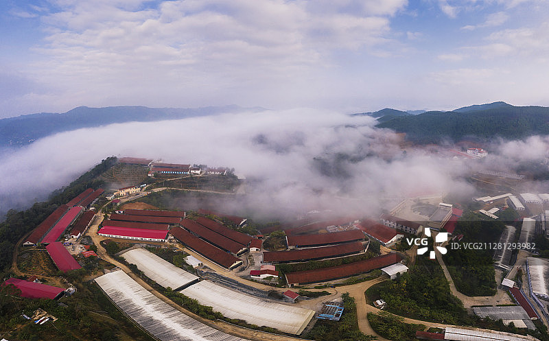 陈乔湘+仙境凤凰谷+广西壮族自治区玉林市容县容州镇图片素材