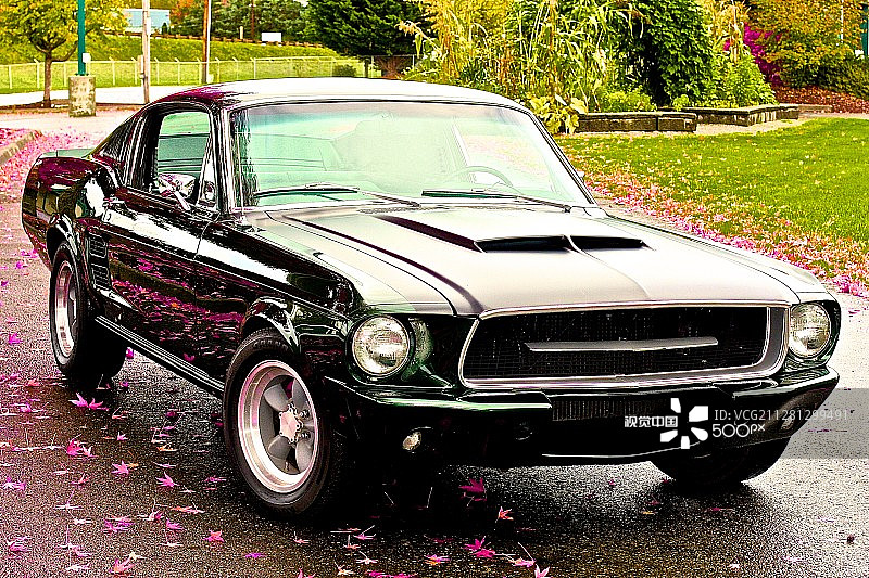 1967年福特野马布利特图片素材