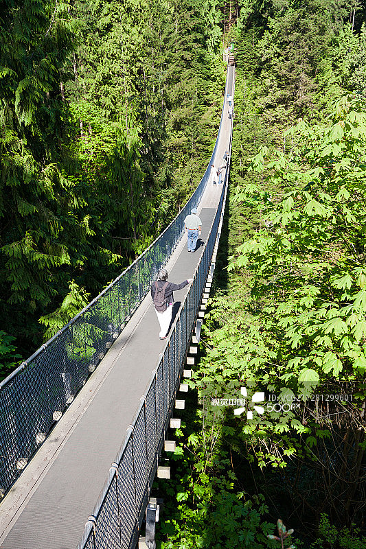 可怕的桥图片素材