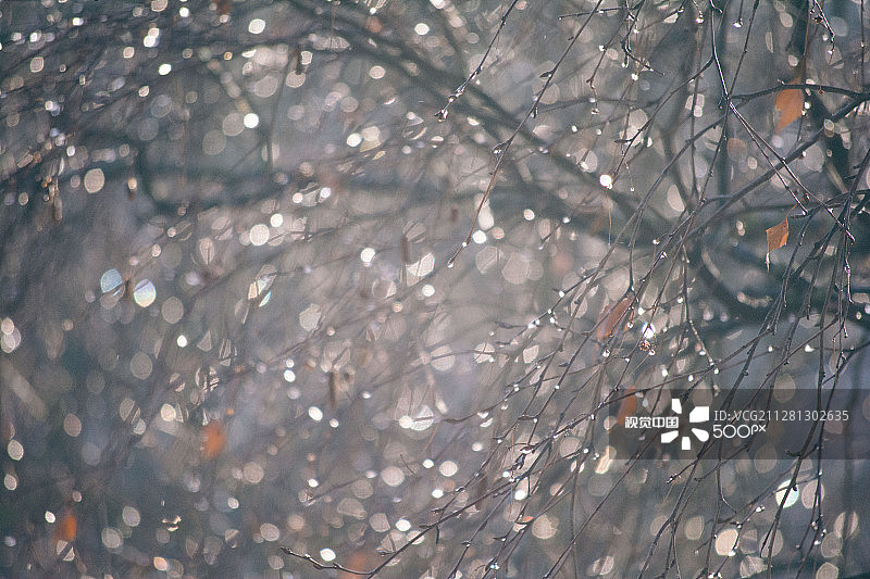 十二月图片素材