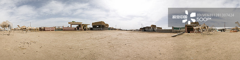 比尔卡什骆驼市场 - 埃及图片素材