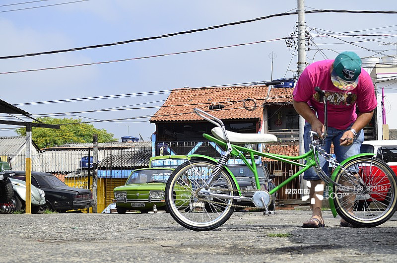 巴西瓜鲁柳斯图片素材